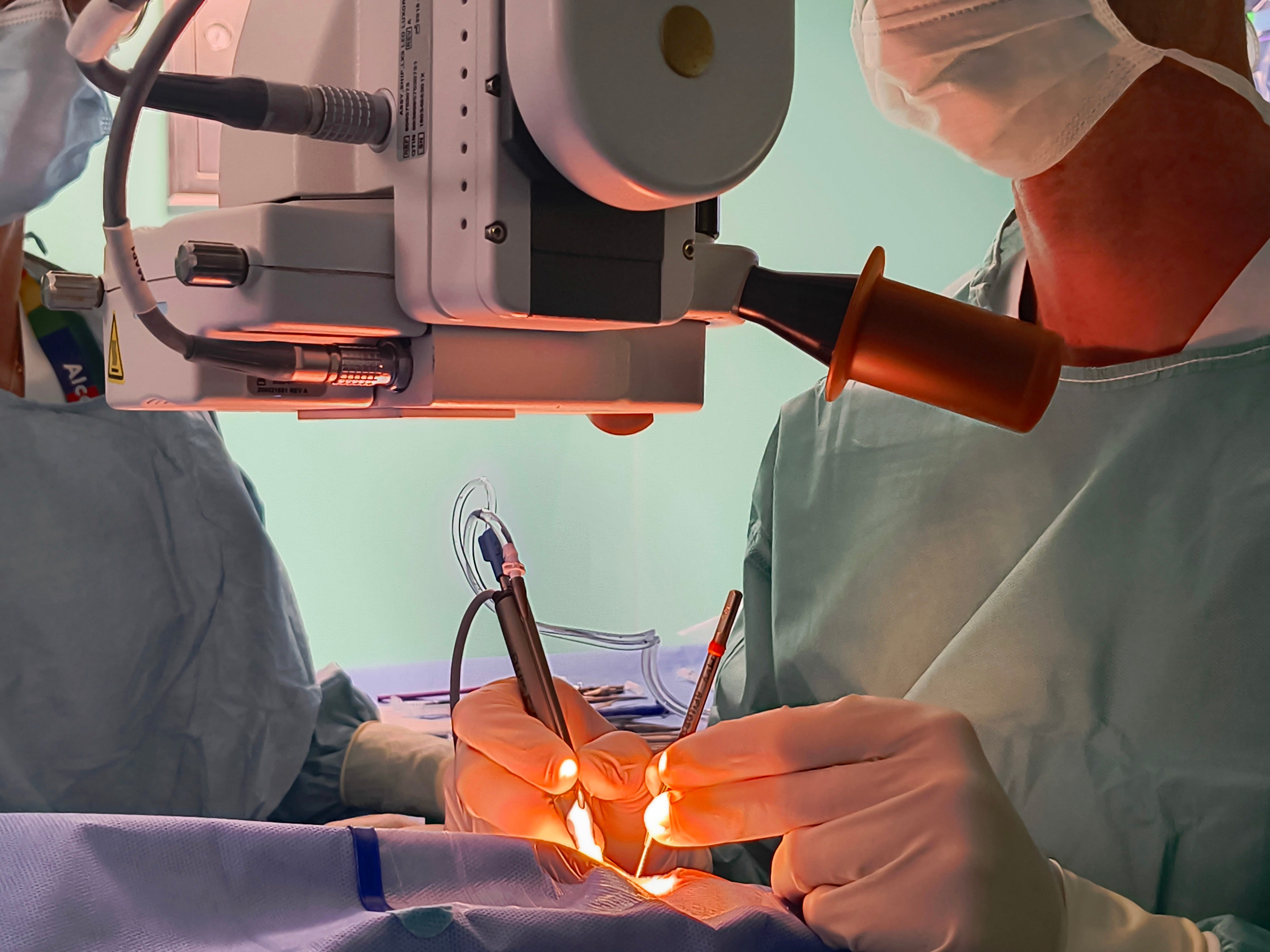 Superficie ocular, córnea y cristalino