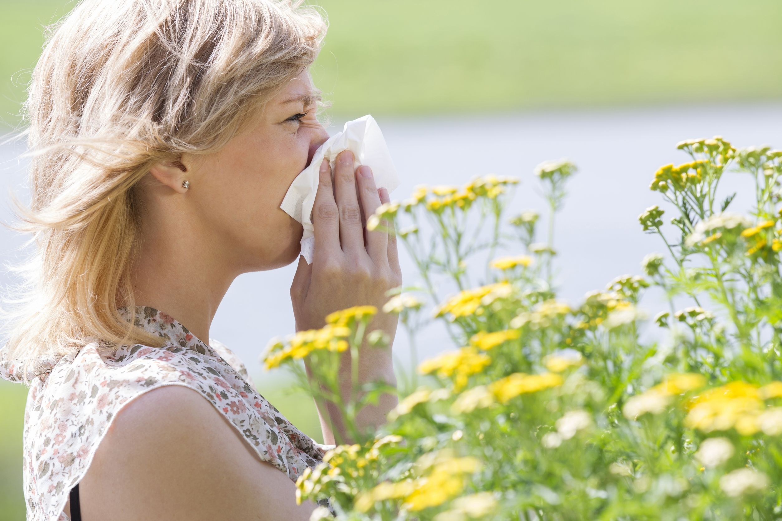 Allergology