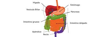 Tumores neuroendocrinos: diagnóstico y tratamiento