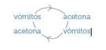 ¿Qué hacer en caso de vómitos y/o diarrea?