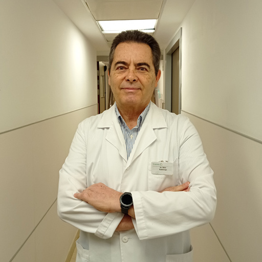 Haro Báez, José Francisco