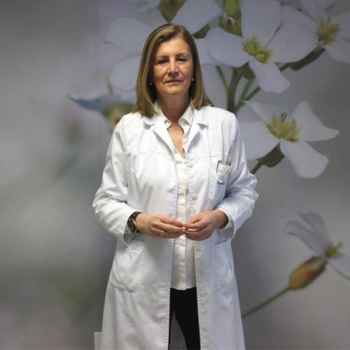 de Castro Llobet, María José